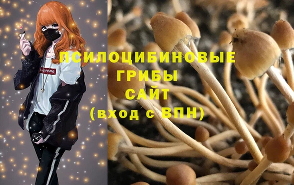 мескалин Верхний Тагил