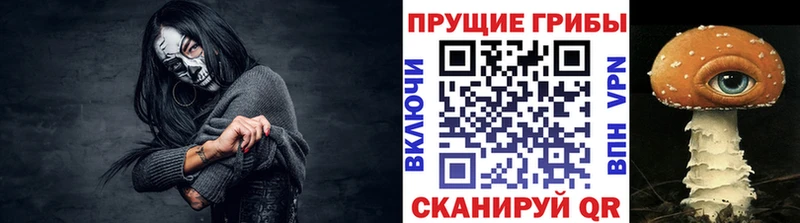 Псилоцибиновые грибы Psilocybe  Купить  Можга 